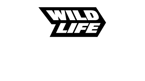 Wildlife Studios announce Stellar Core Games